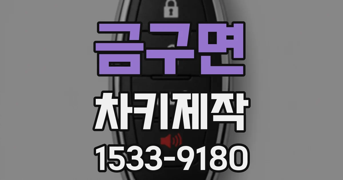금구면 차키제작