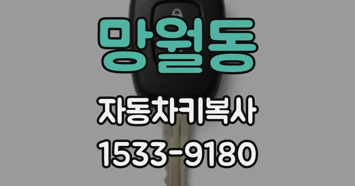 망월동 자동차키복사