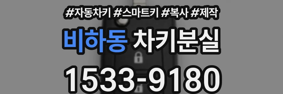 비하동 차키분실
