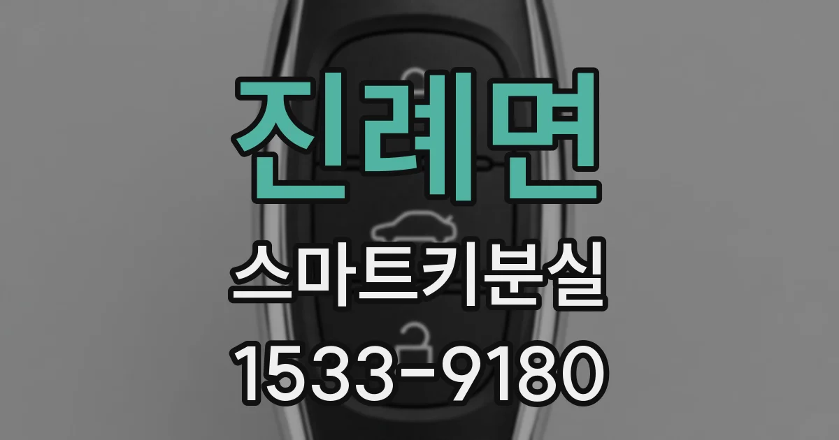 진례면 스마트키분실