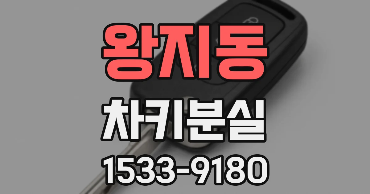 왕지동 차키분실