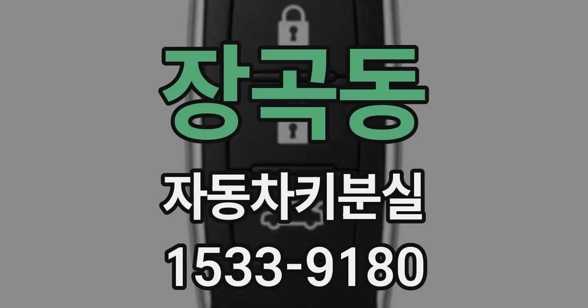 장곡동 자동차키분실