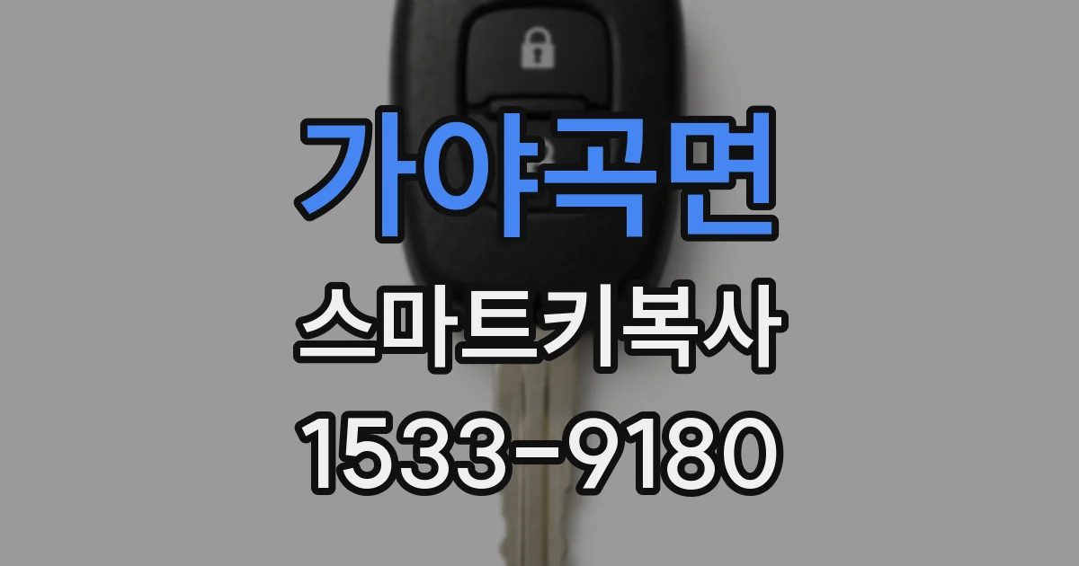 가야곡면 스마트키복사