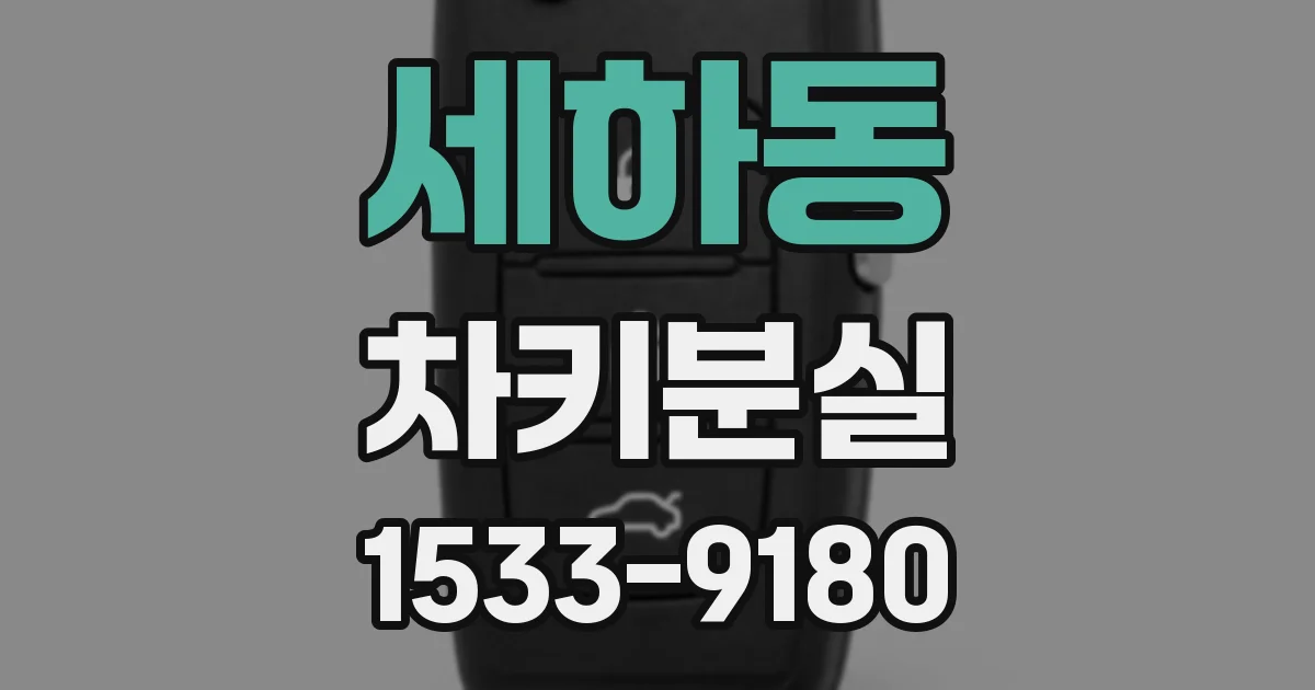 세하동 차키분실