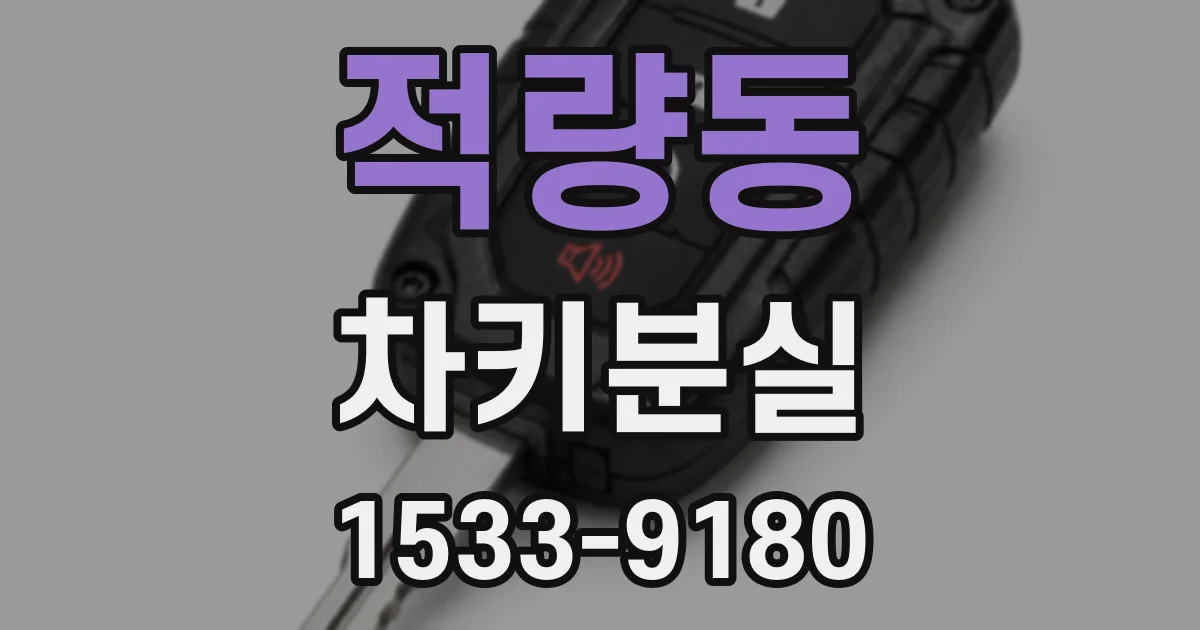 적량동 차키분실