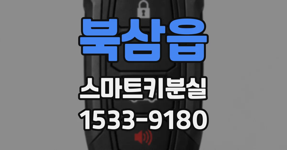북삼읍 스마트키분실