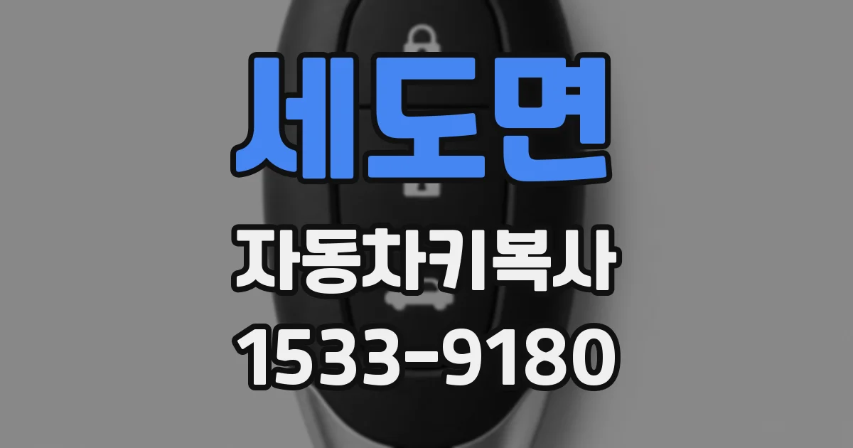 세도면 자동차키복사