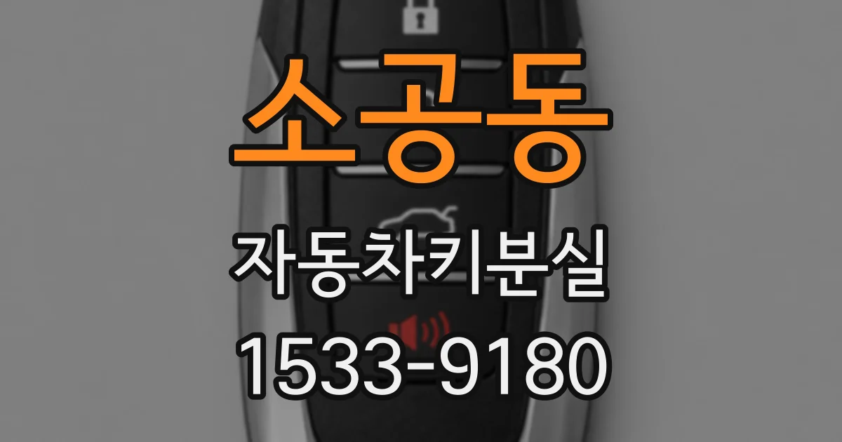 소공동 자동차키분실