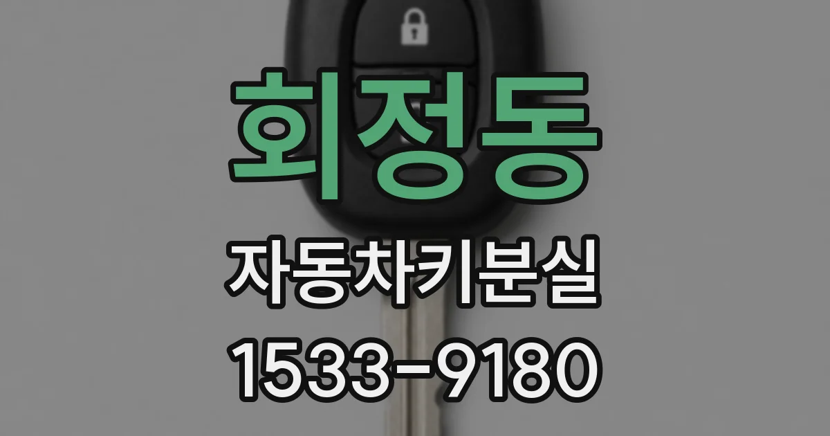 회정동 자동차키분실