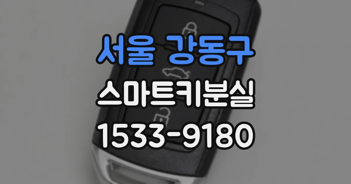서울 강동구 스마트키분실