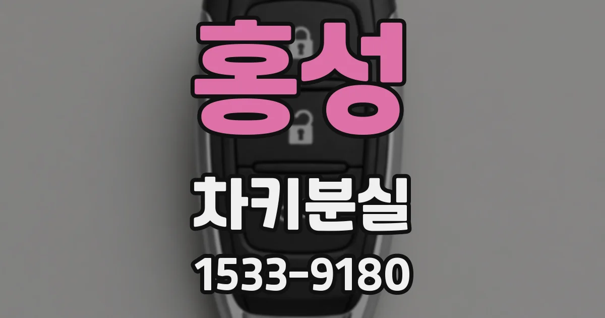 홍성 차키분실