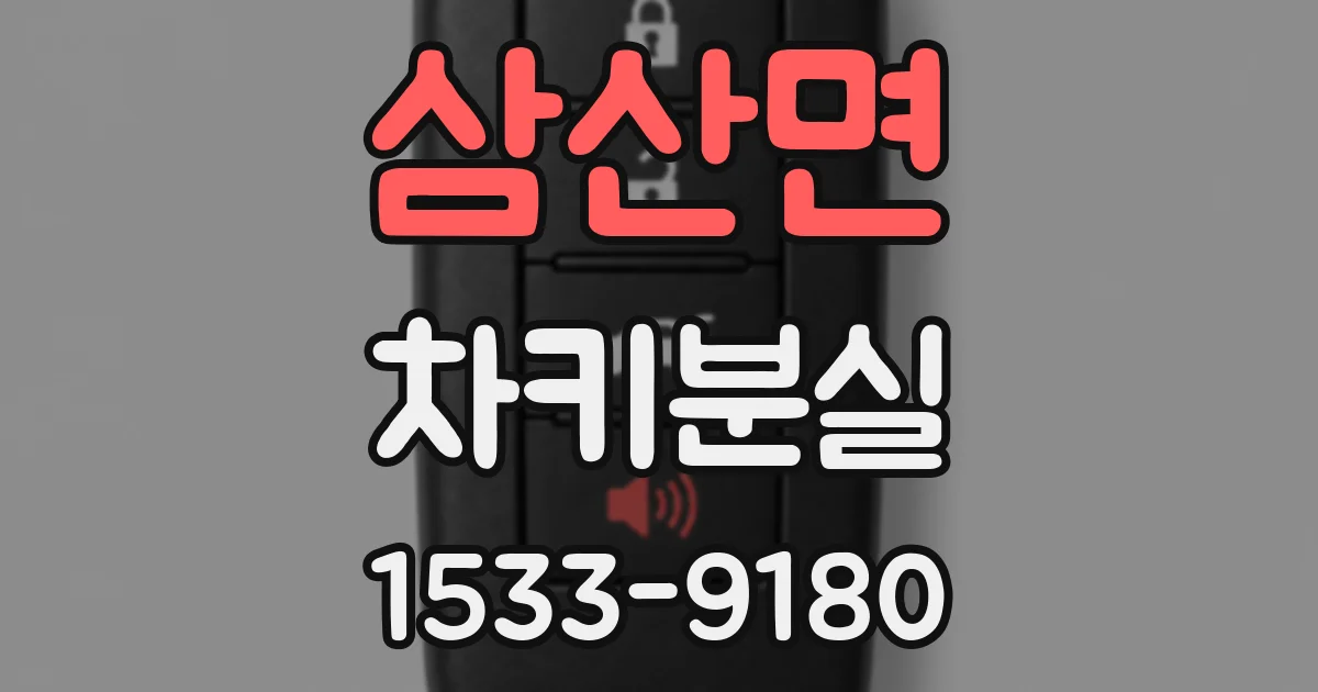 삼산면 차키분실