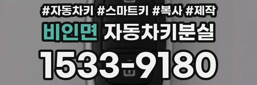 비인면 자동차키분실