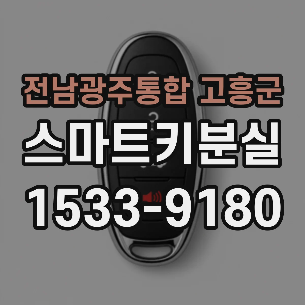 전남광주통합 고흥군 스마트키분실