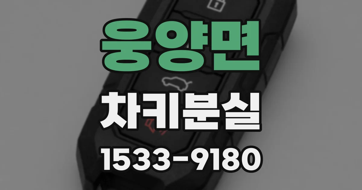 웅양면 차키분실