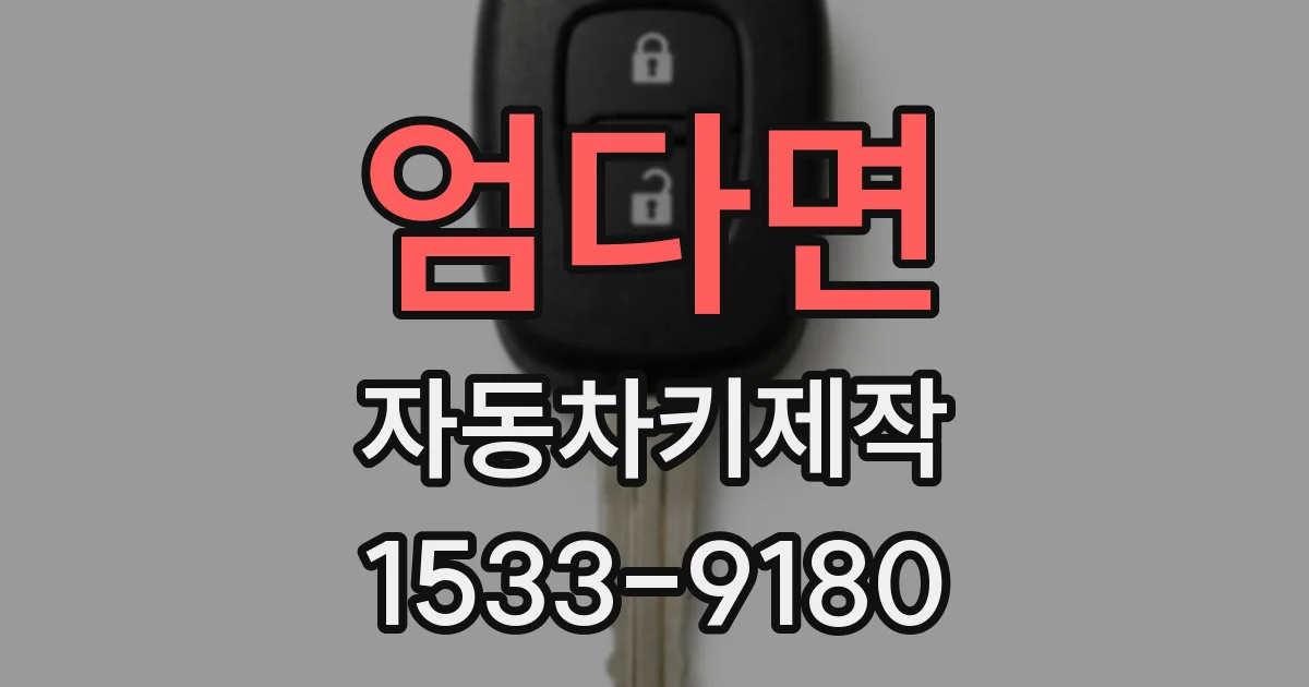 엄다면 자동차키제작