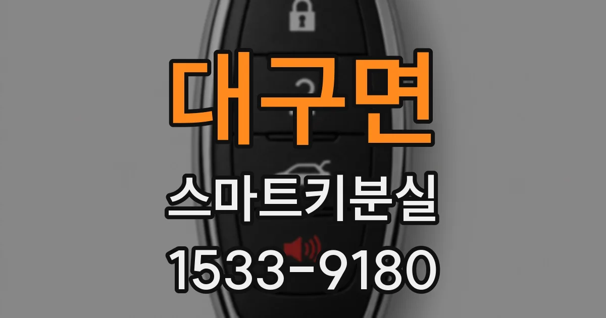 대구면 스마트키분실
