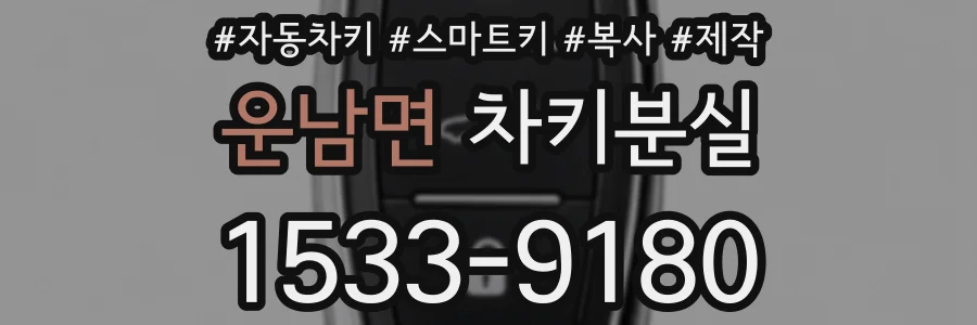 운남면 차키분실