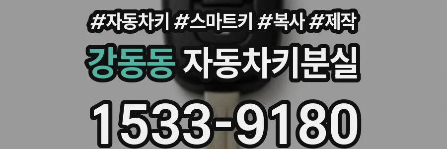 강동동 자동차키분실