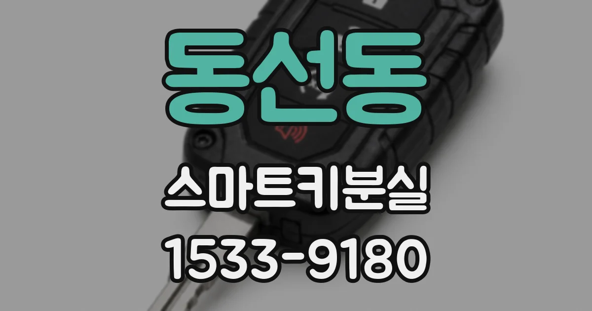 동선동 스마트키분실