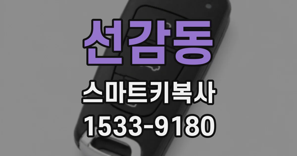 선감동 스마트키복사
