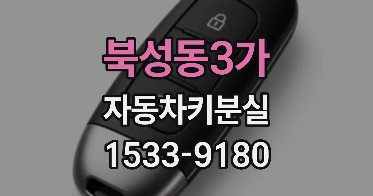 북성동3가 자동차키분실