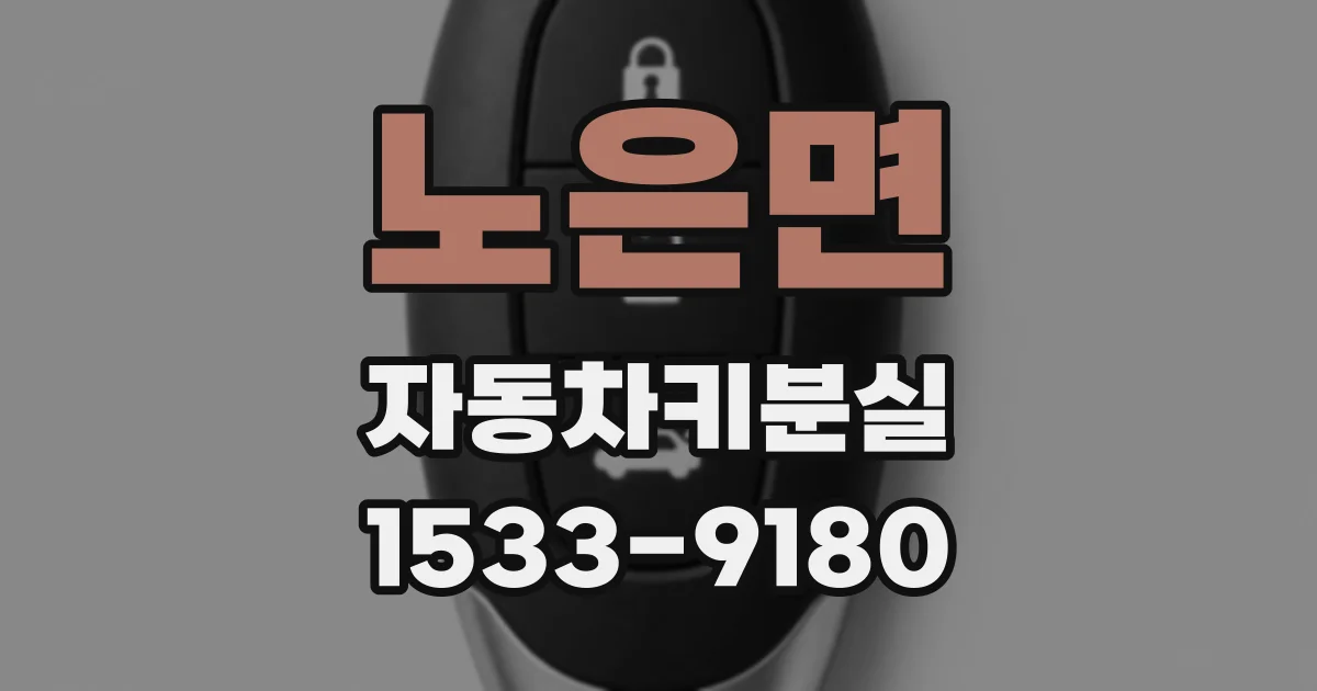 노은면 자동차키분실