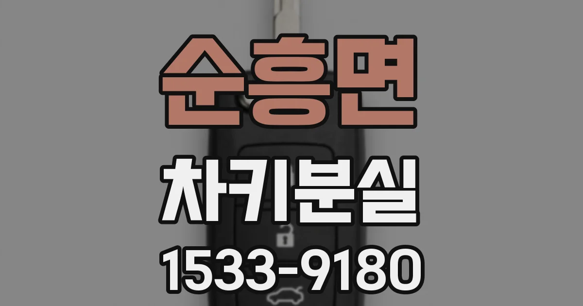 순흥면 차키분실