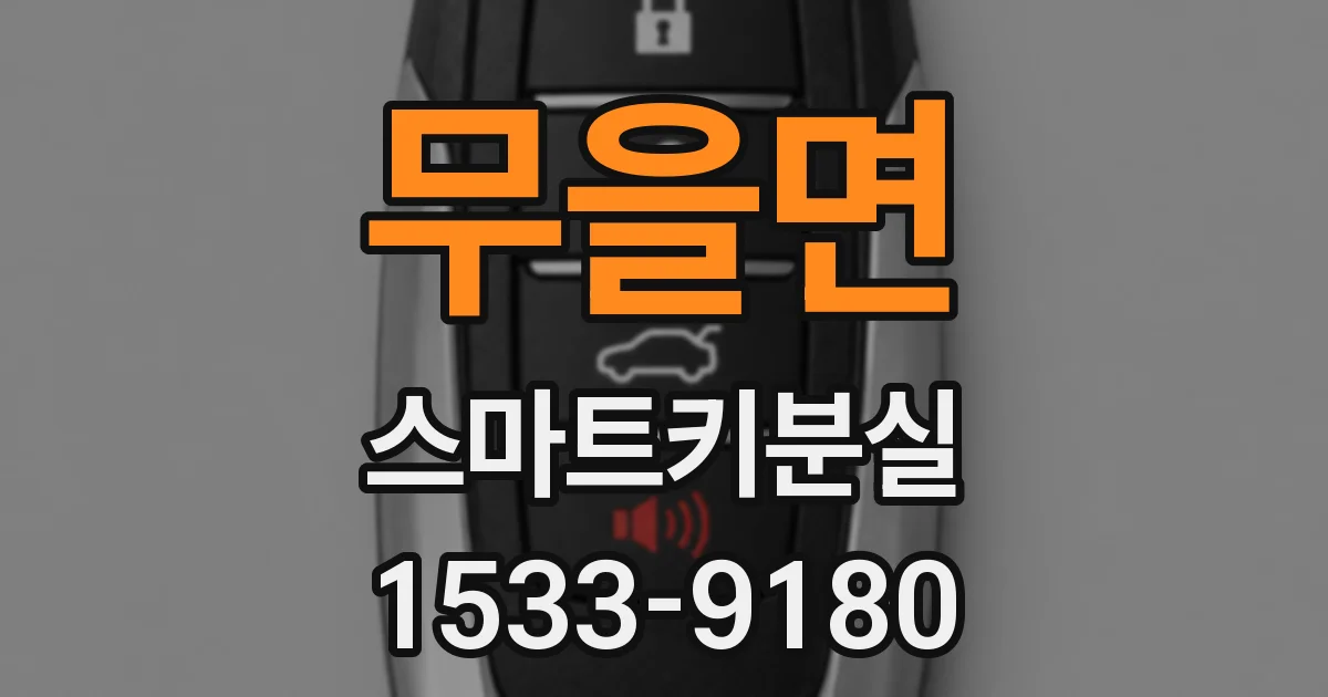 무을면 스마트키분실