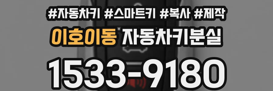 이호이동 자동차키분실