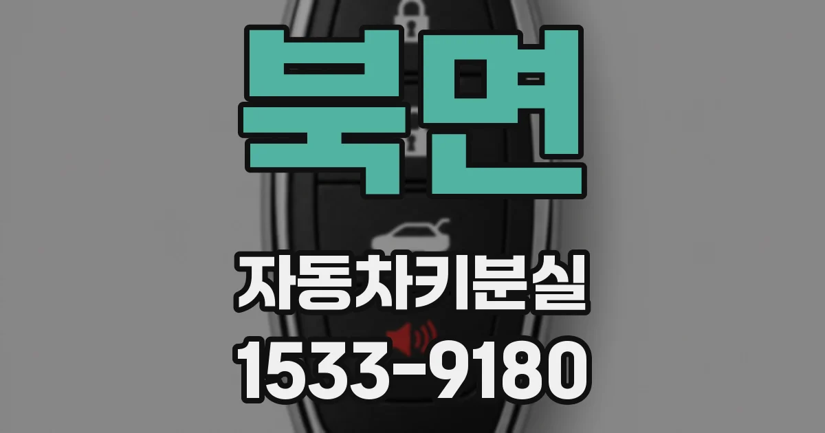 북면 자동차키분실