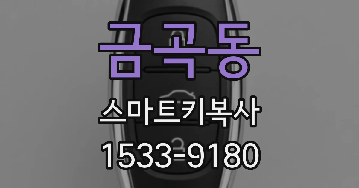 금곡동 스마트키복사