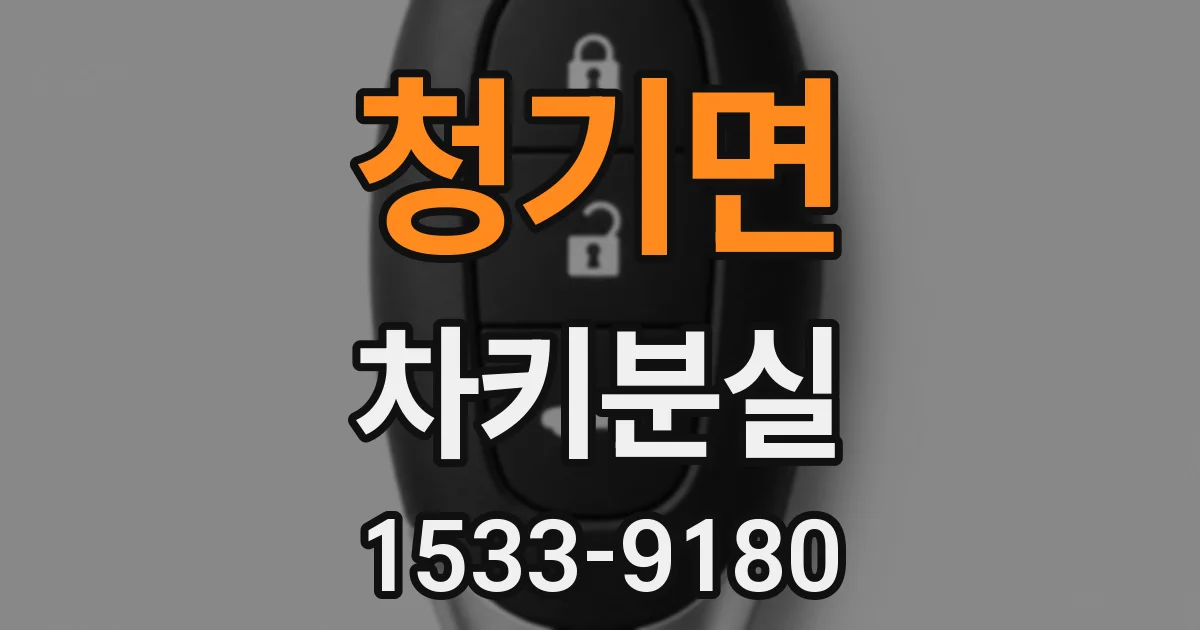 청기면 차키분실