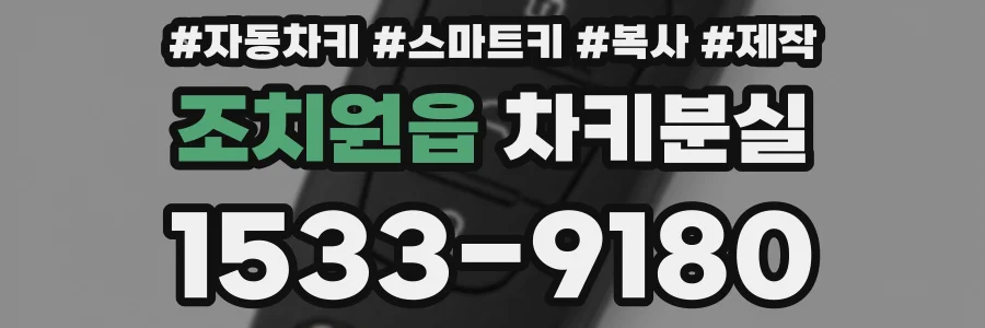 조치원읍 차키분실