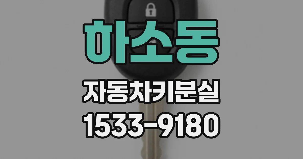 하소동 자동차키분실