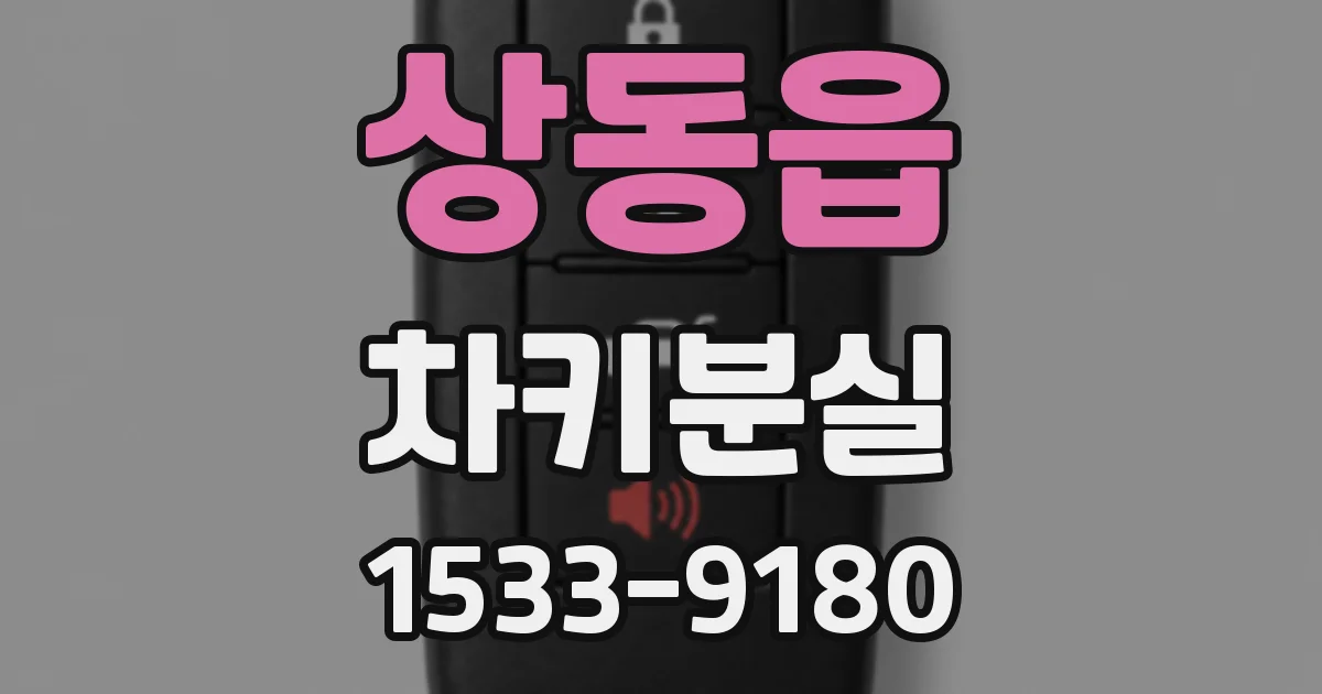 상동읍 차키분실