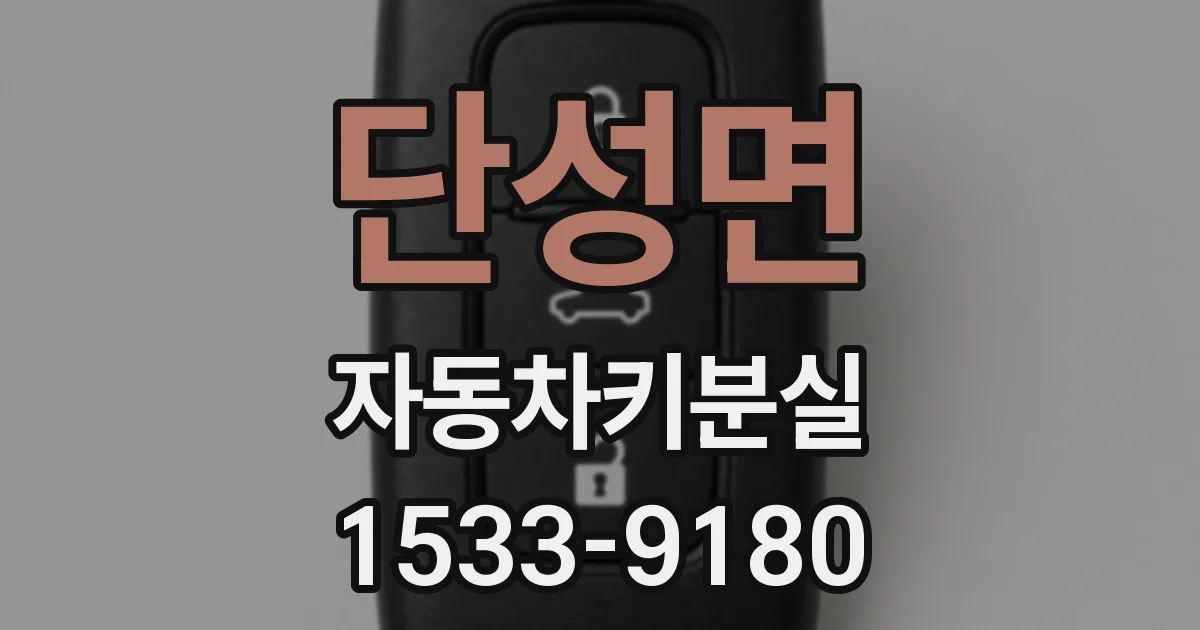 단성면 자동차키분실