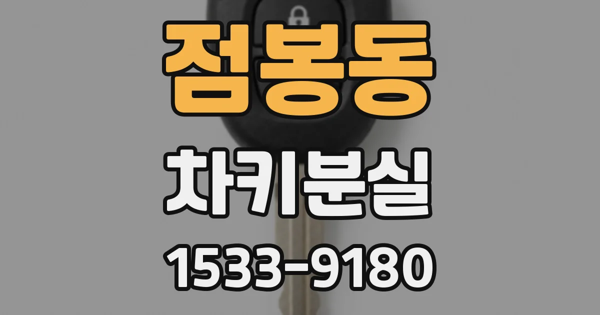점봉동 차키분실