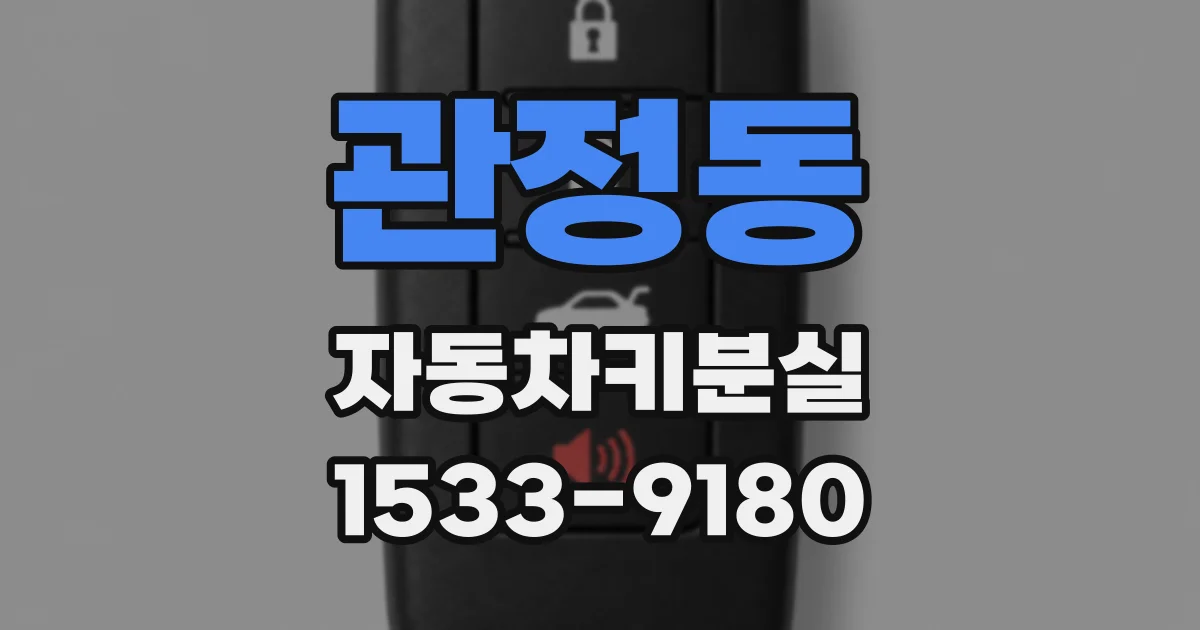 관정동 자동차키분실