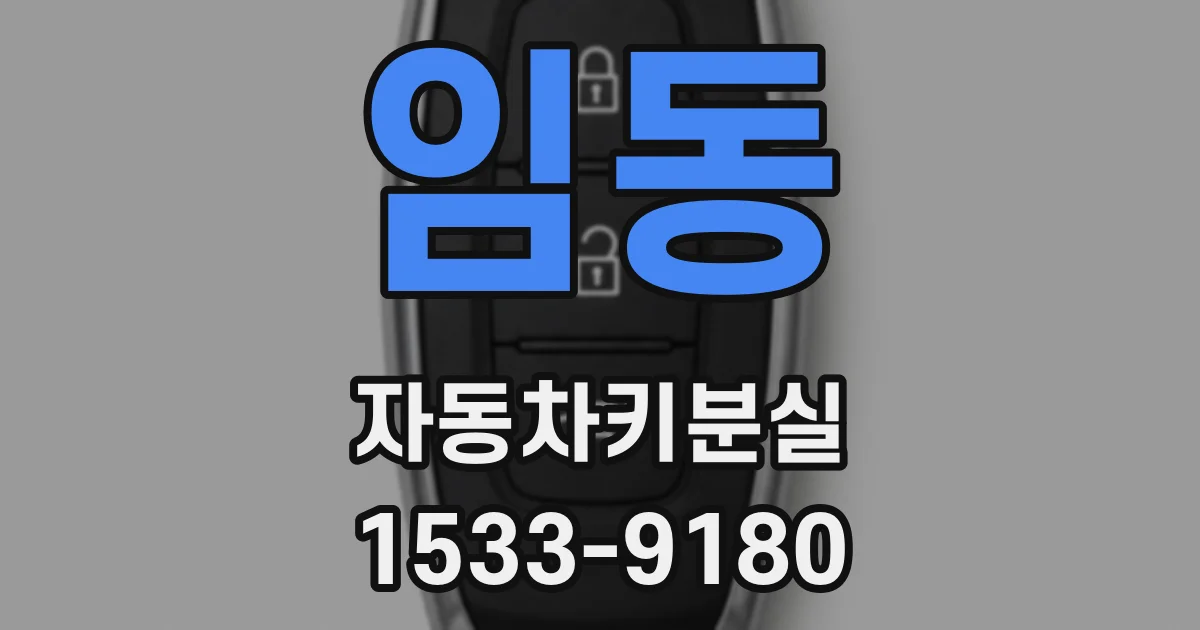 임동 자동차키분실