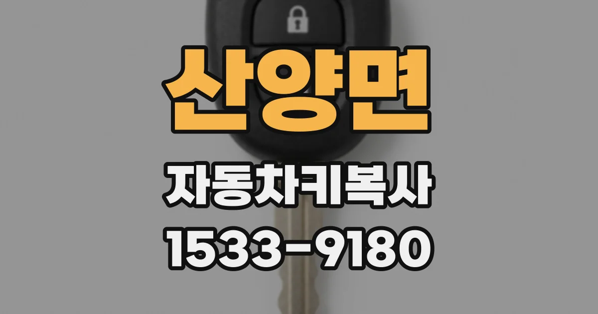 산양면 자동차키복사