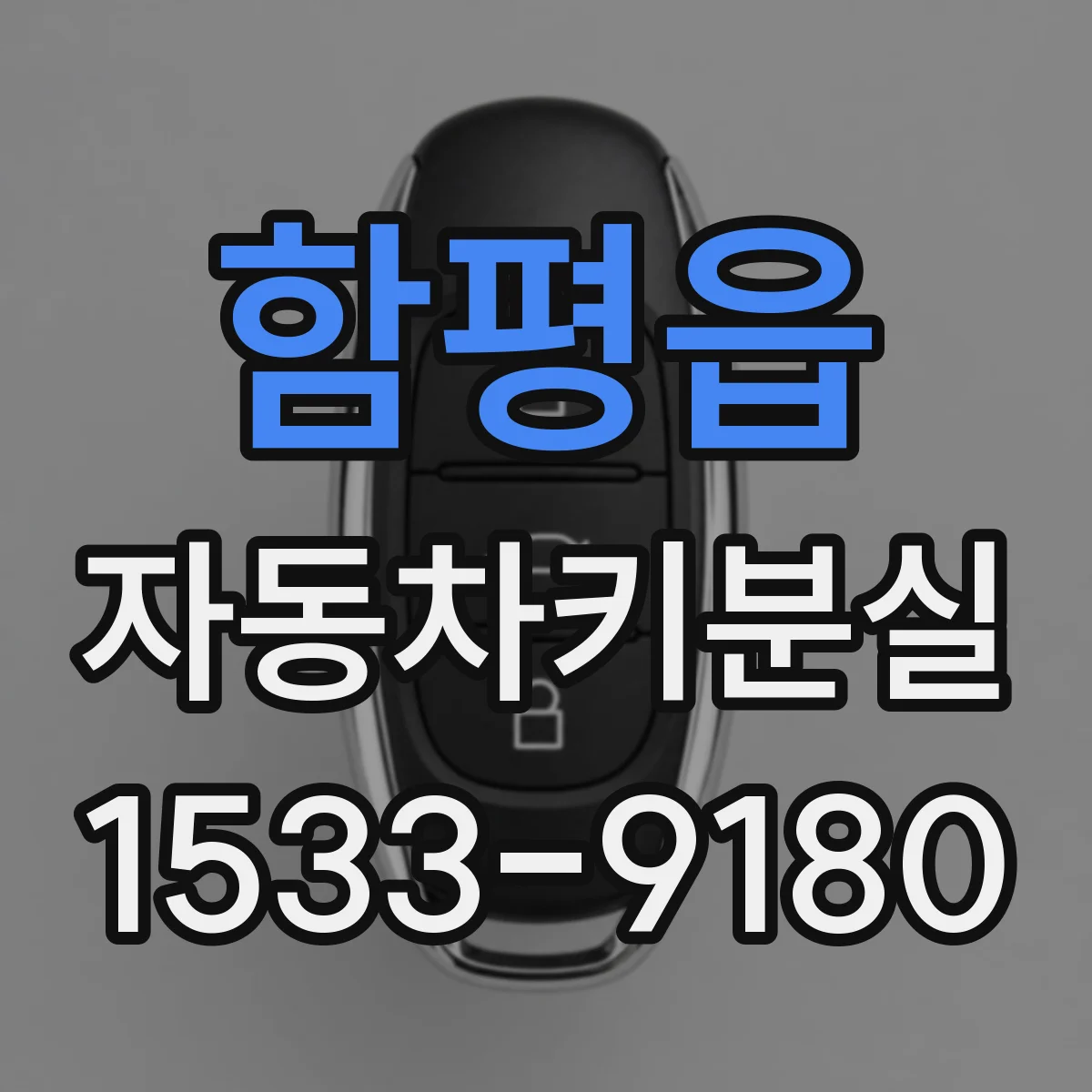 함평읍 자동차키분실