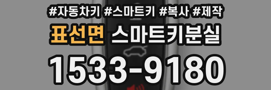 표선면 스마트키분실