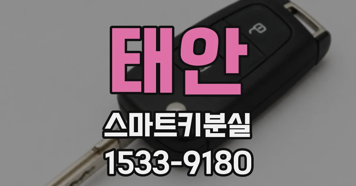 태안 스마트키분실