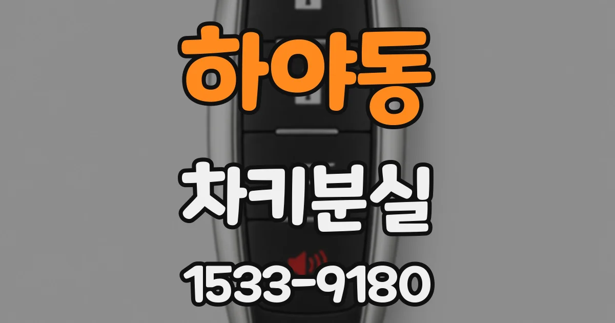하야동 차키분실