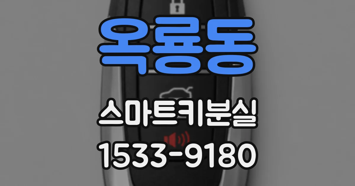 옥룡동 스마트키분실