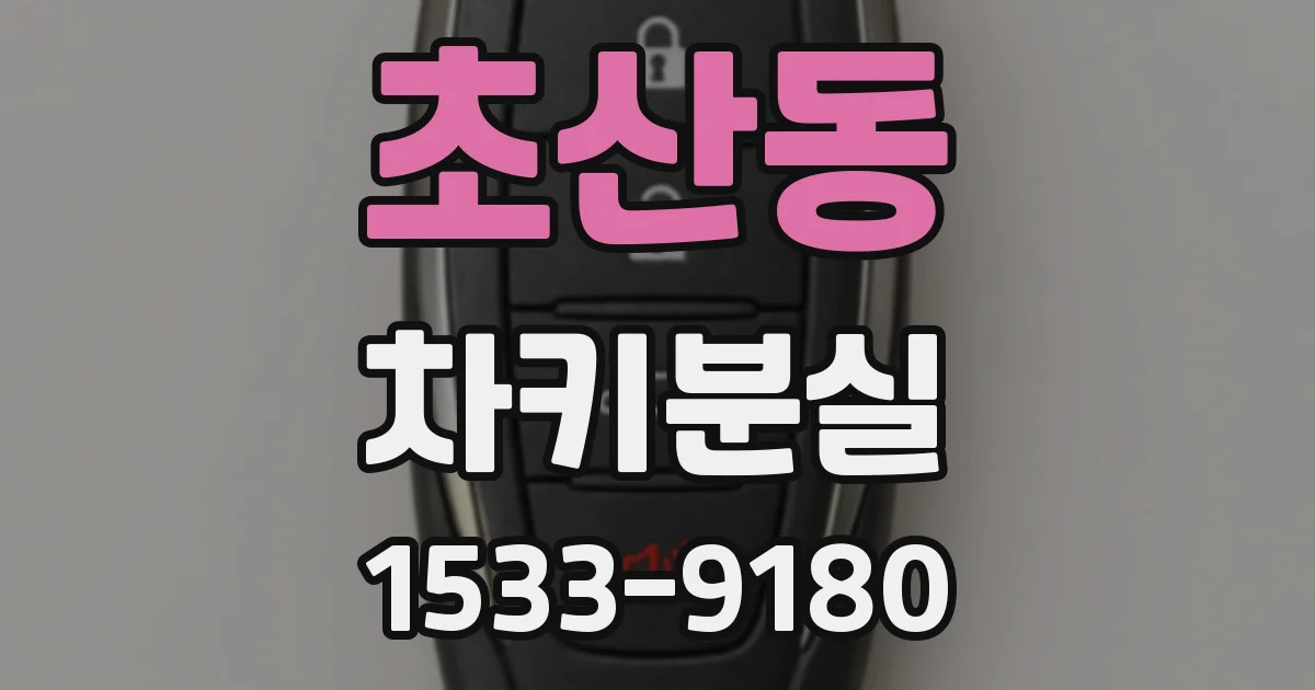 초산동 차키분실