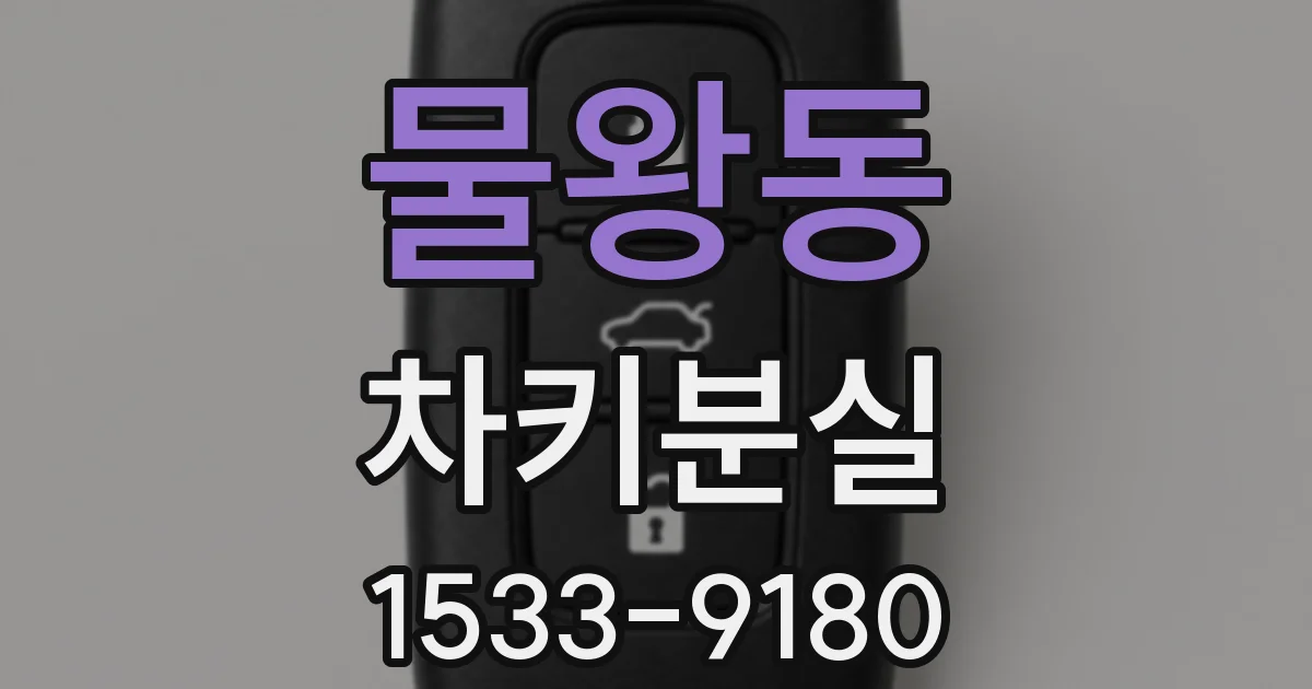 물왕동 차키분실