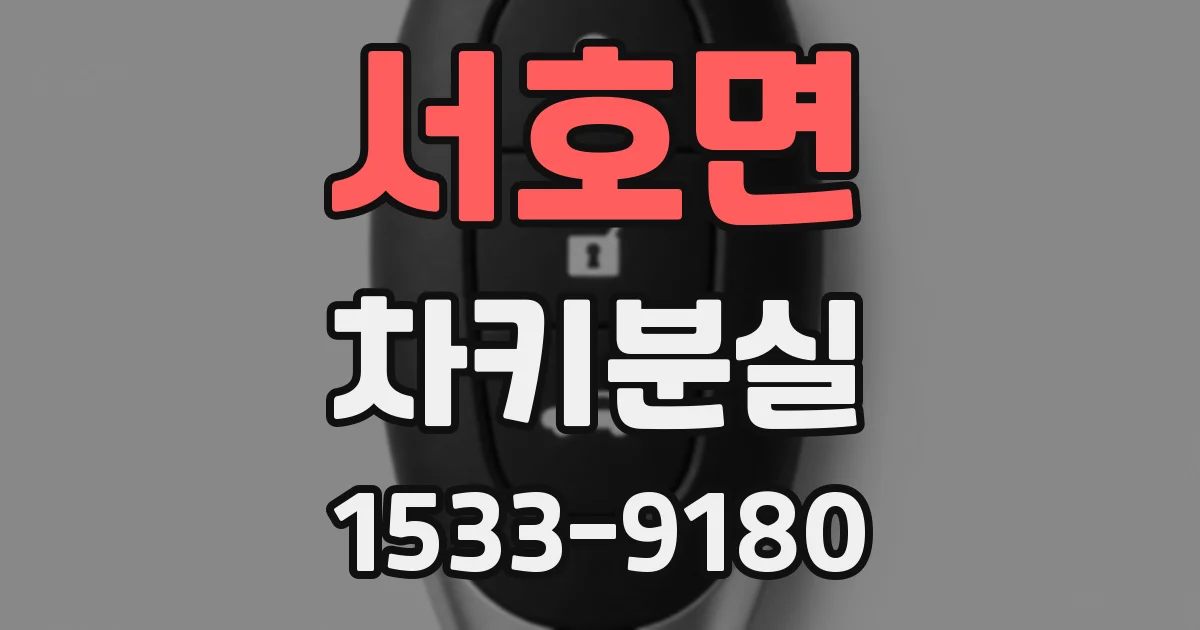 서호면 차키분실