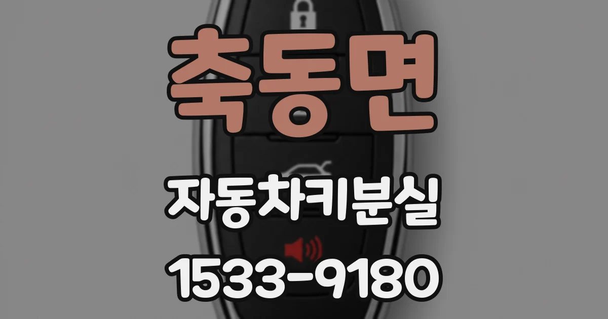 축동면 자동차키분실